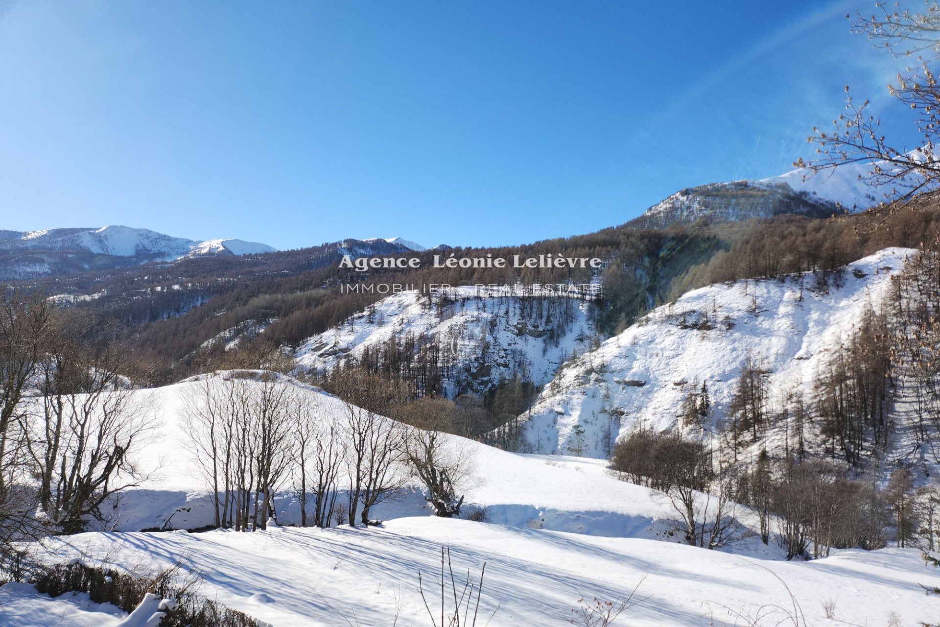 Vente Maison à Allos 10 pièces