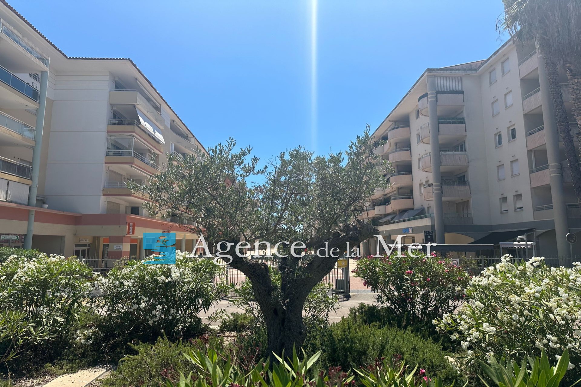 Vente Appartement à Antibes 3 pièces