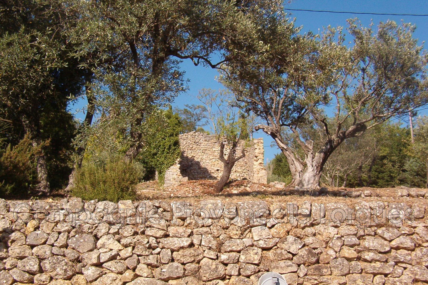 Vente Maison à Lorgues 0 pièce