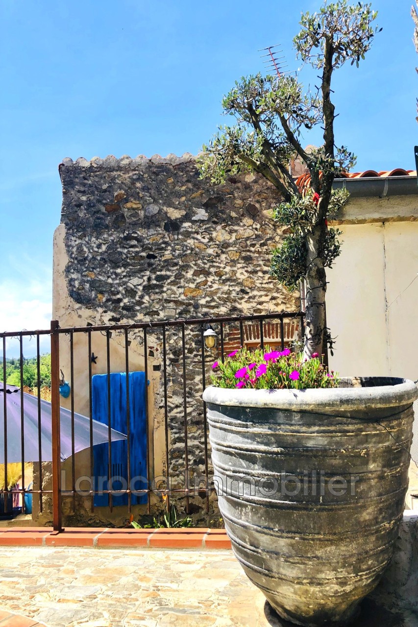 Vente Maison à Montesquieu-des-Albères 9 pièces