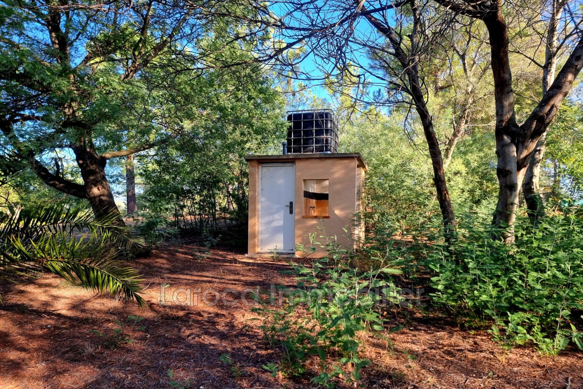 Vente Terrain à Céret 0 pièce