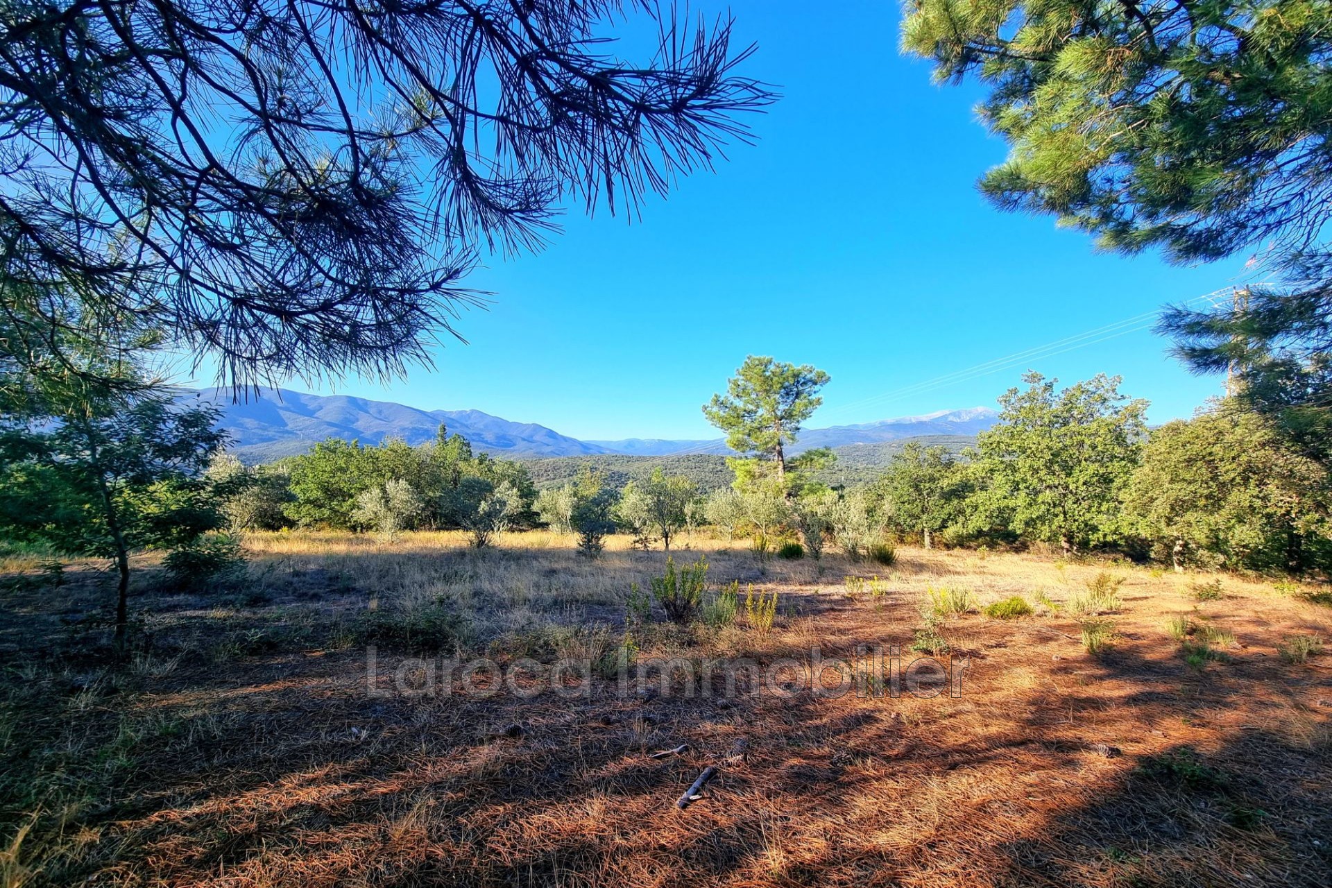 Vente Terrain à Céret 0 pièce