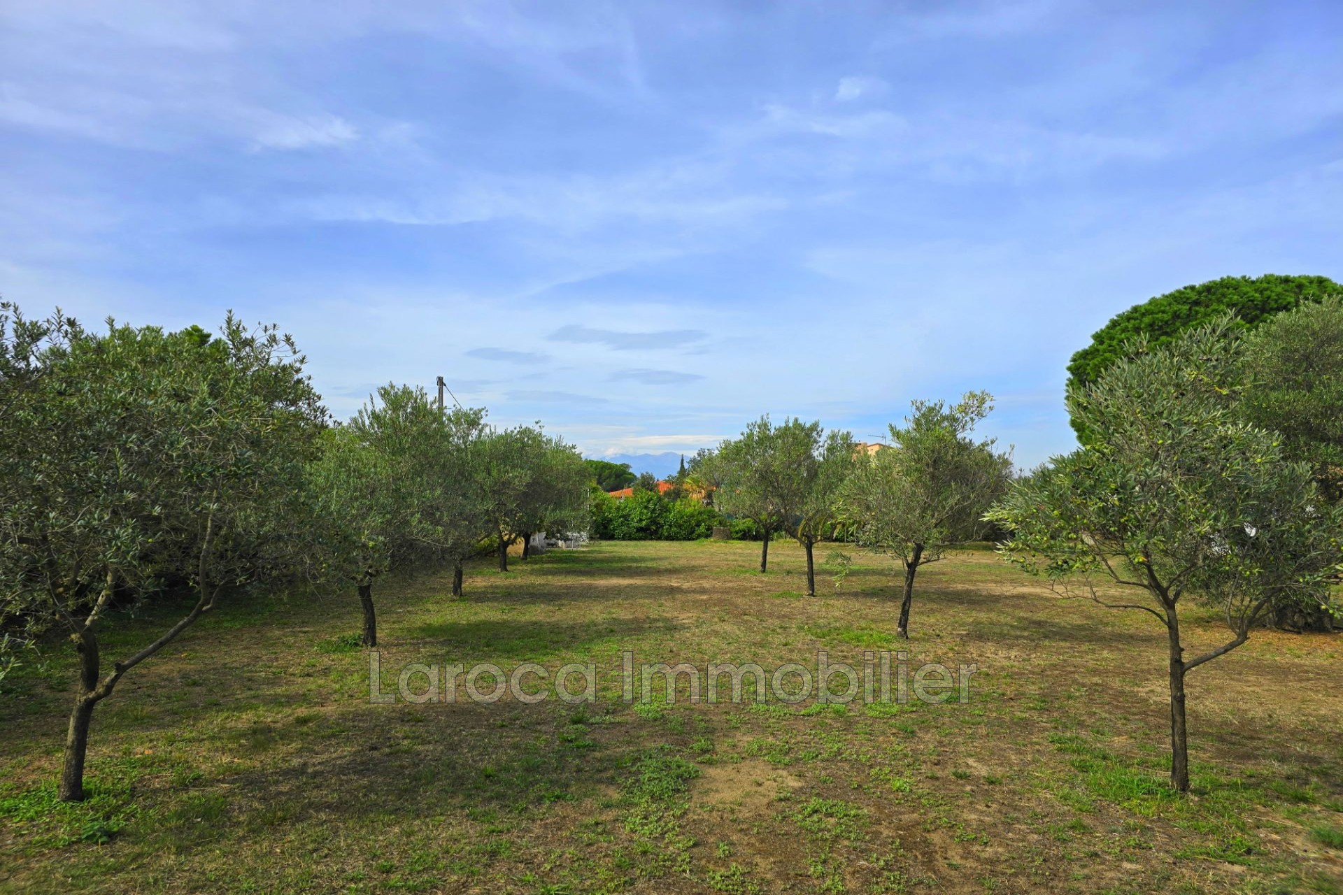 Vente Maison à Laroque-des-Albères 5 pièces