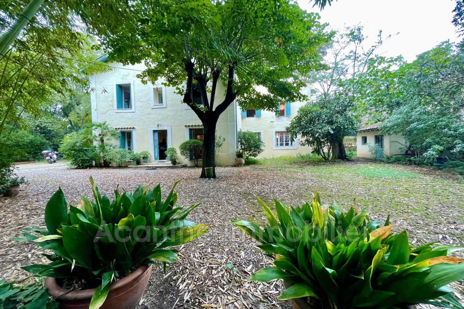 Vente Maison à Montpellier 0 pièce