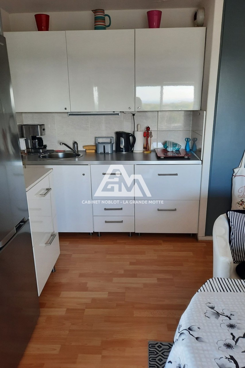 Vente Appartement à la Grande-Motte 1 pièce