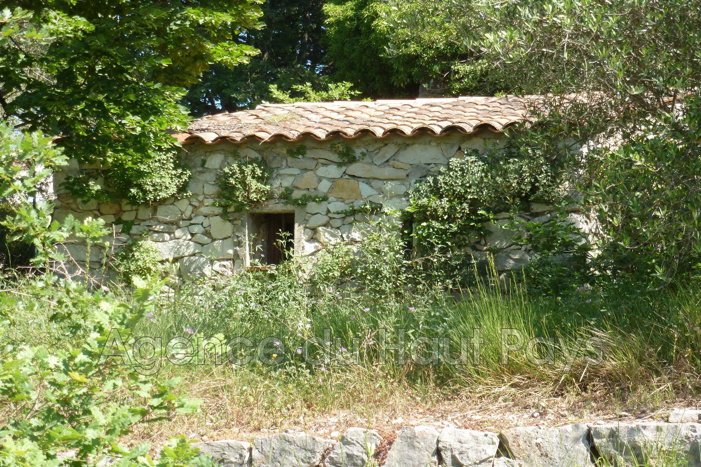 Vente Terrain à Saint-Cézaire-sur-Siagne 0 pièce