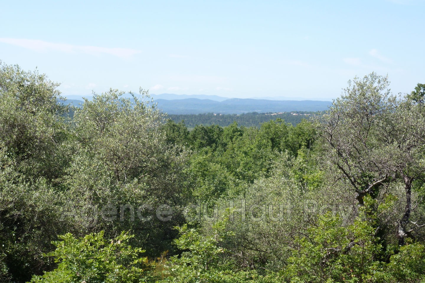 Vente Terrain à Saint-Cézaire-sur-Siagne 0 pièce