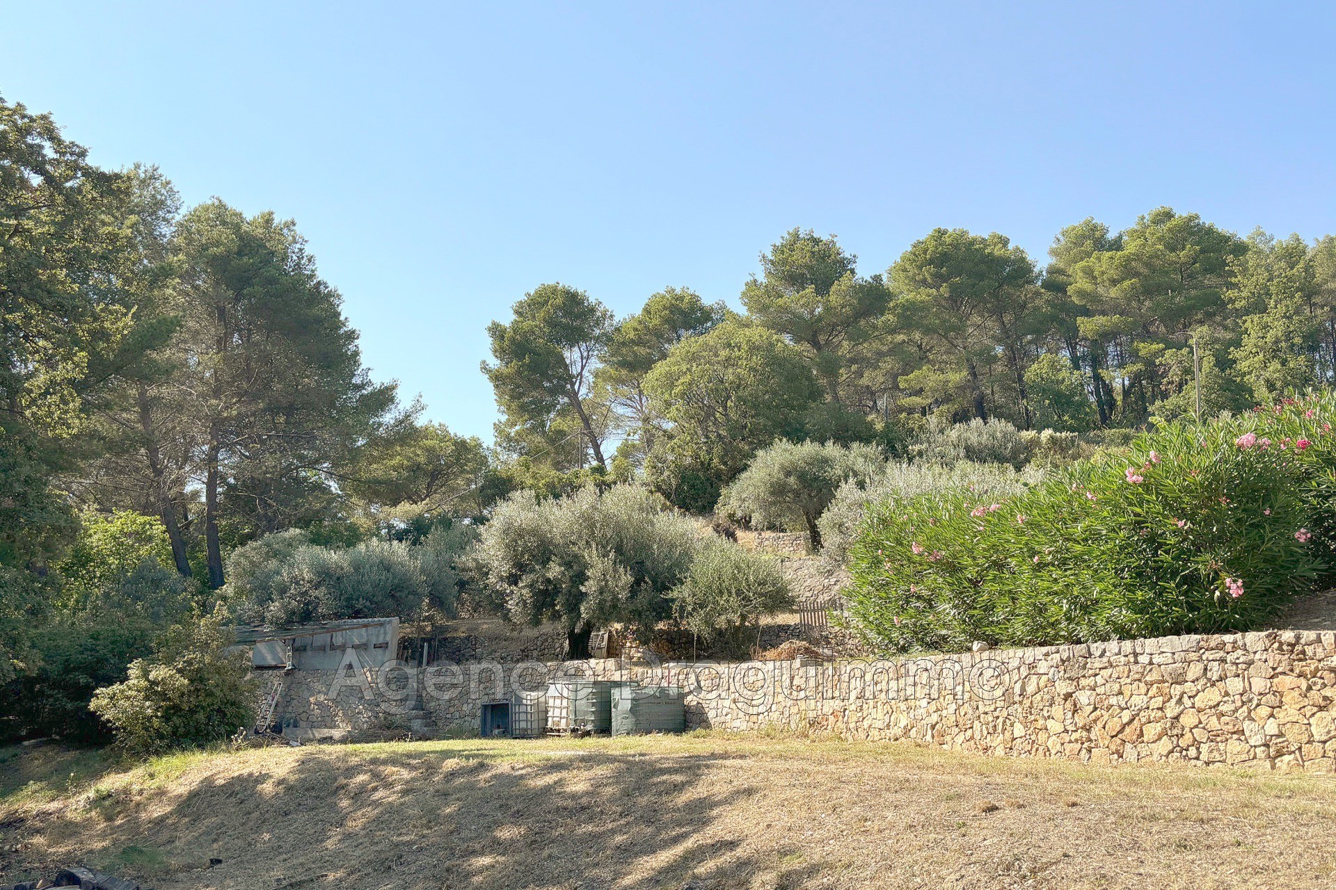 Vente Maison à Draguignan 6 pièces