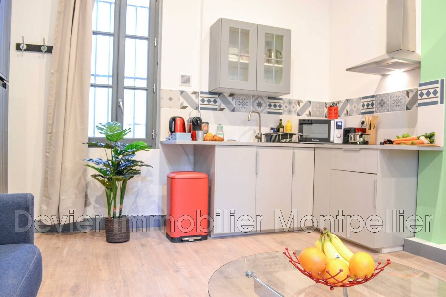 Location Appartement à Montpellier 2 pièces