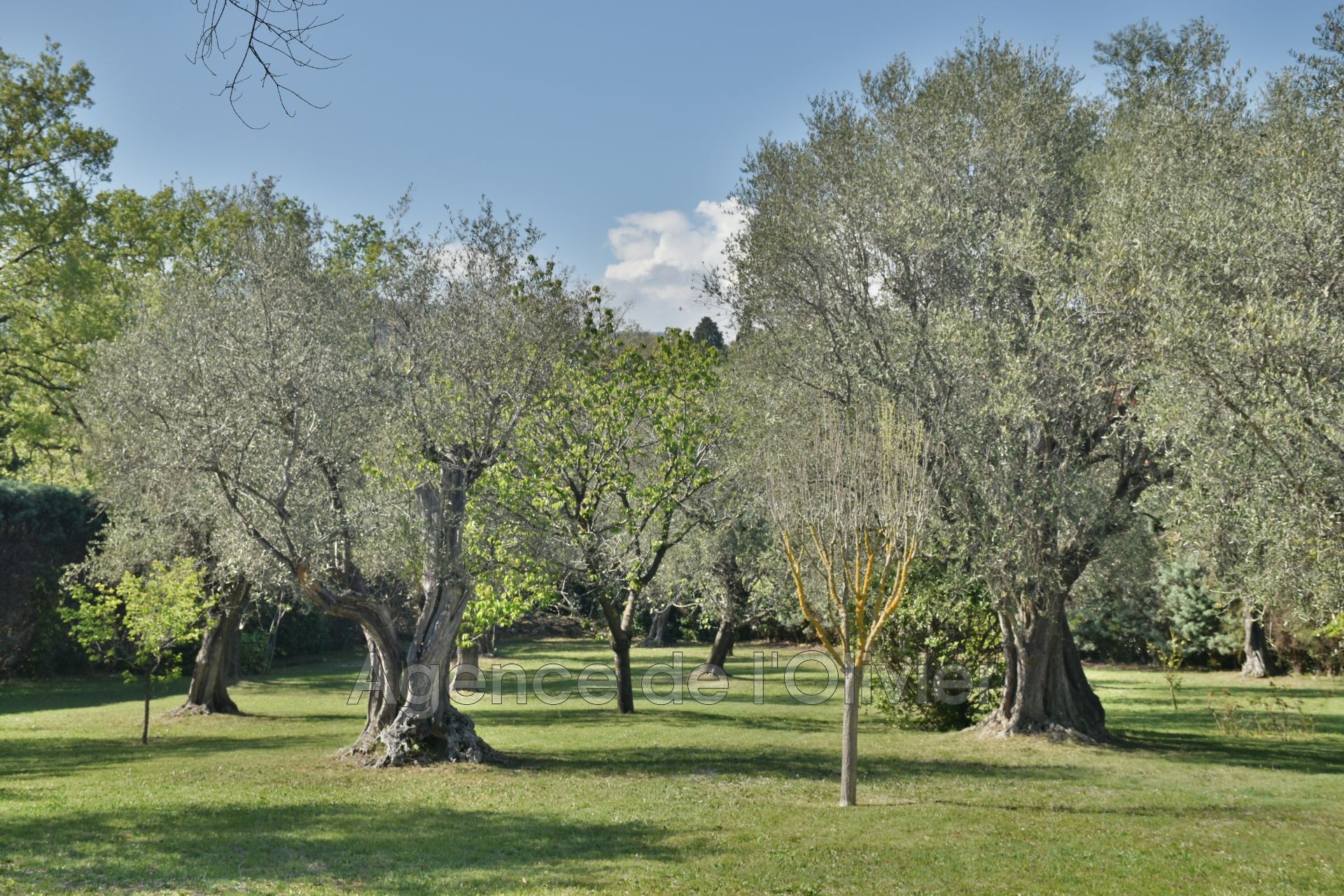 Vente Maison à Châteauneuf-Grasse 9 pièces