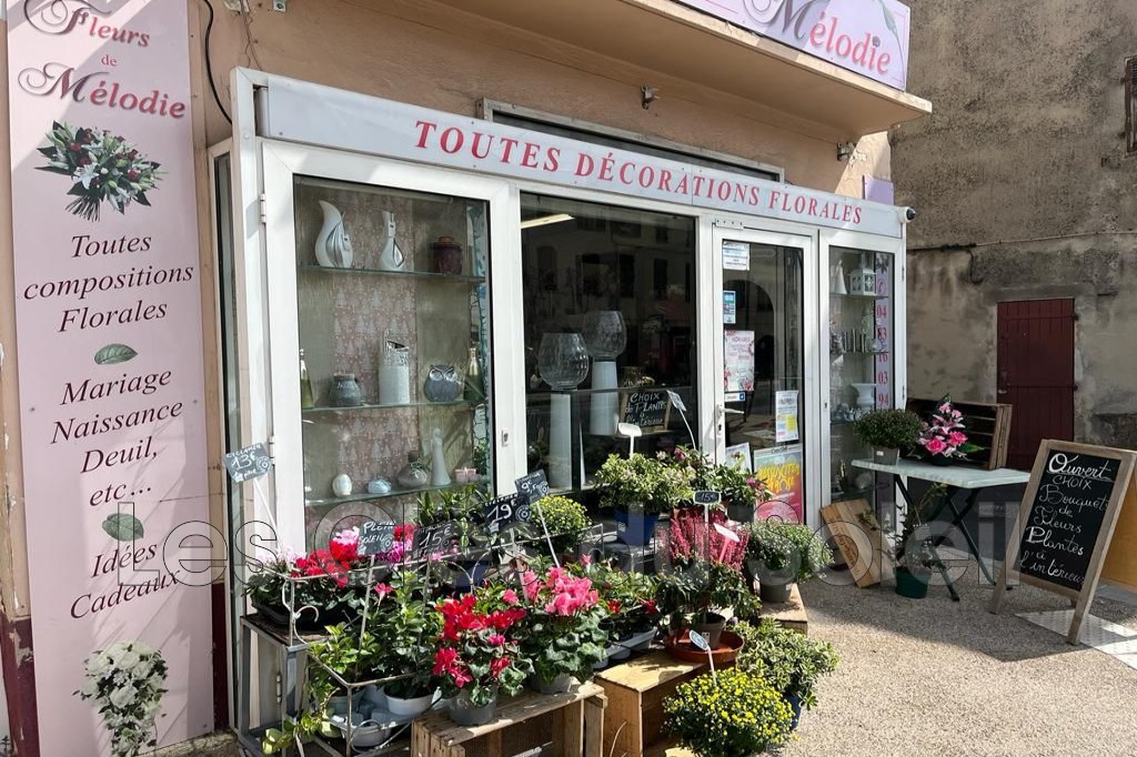 Vente Bureau / Commerce à la Farlède 0 pièce