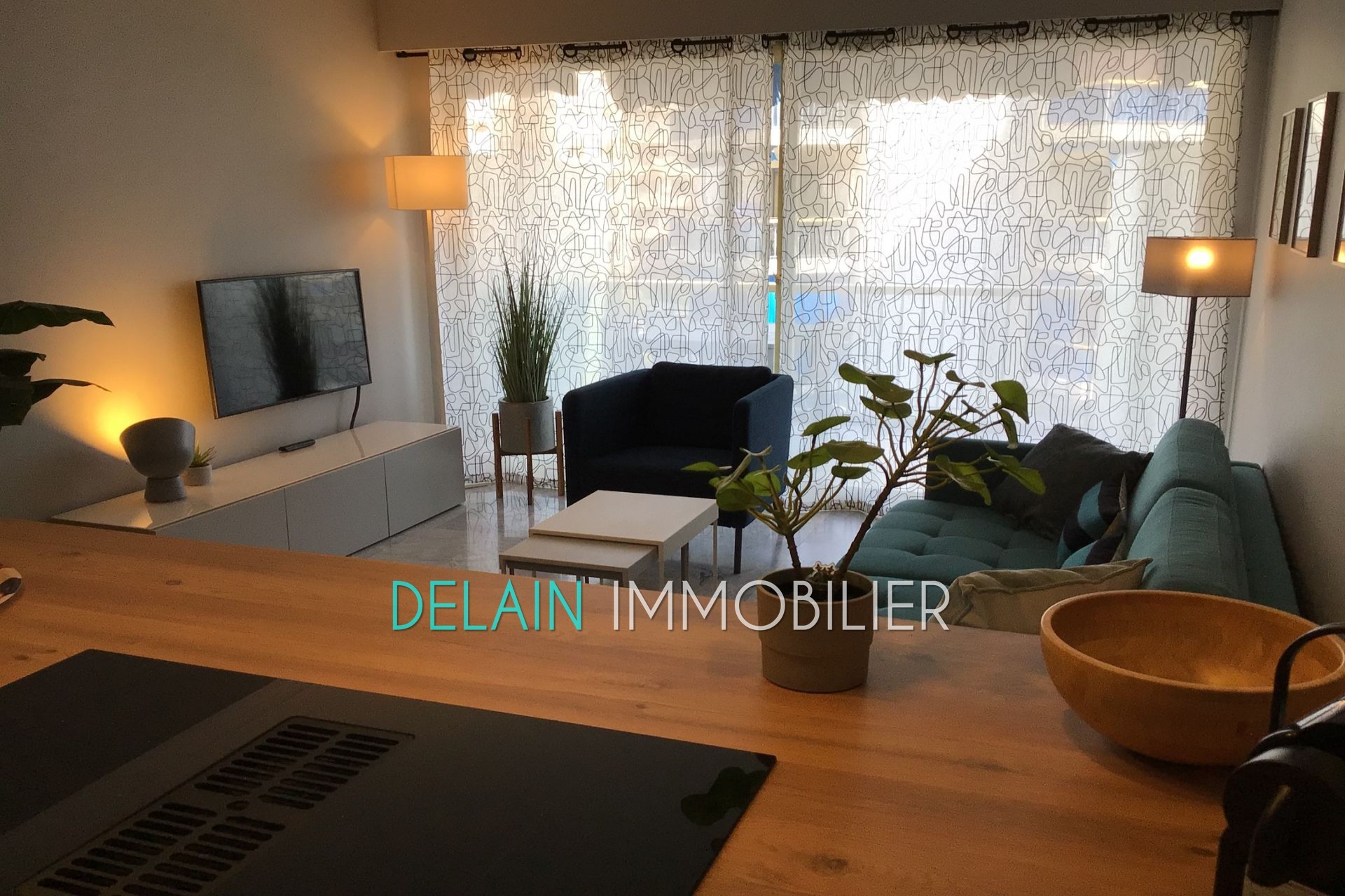 Location Appartement à Cagnes-sur-Mer 2 pièces