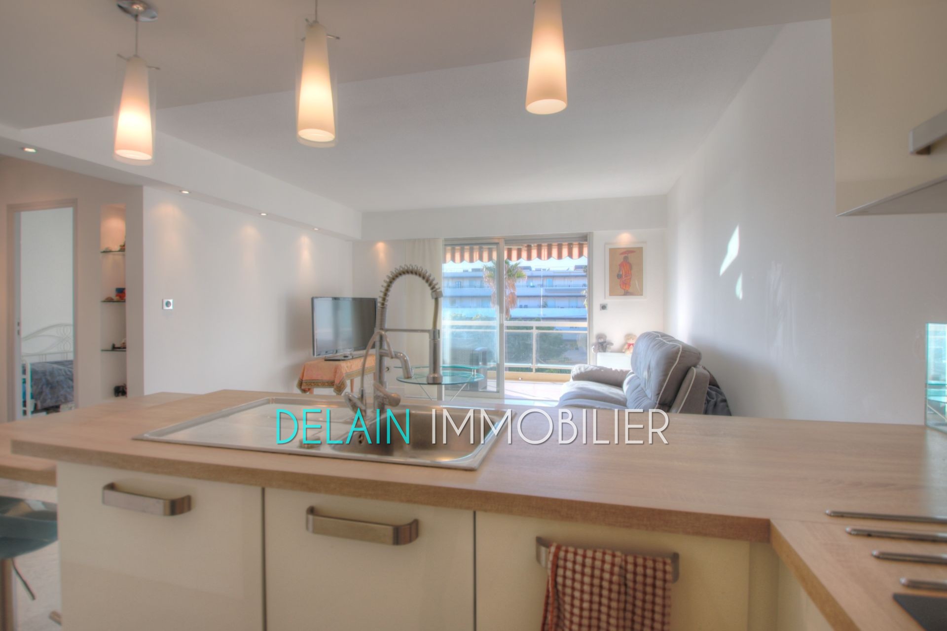 Vente Appartement à Saint-Laurent-du-Var 3 pièces