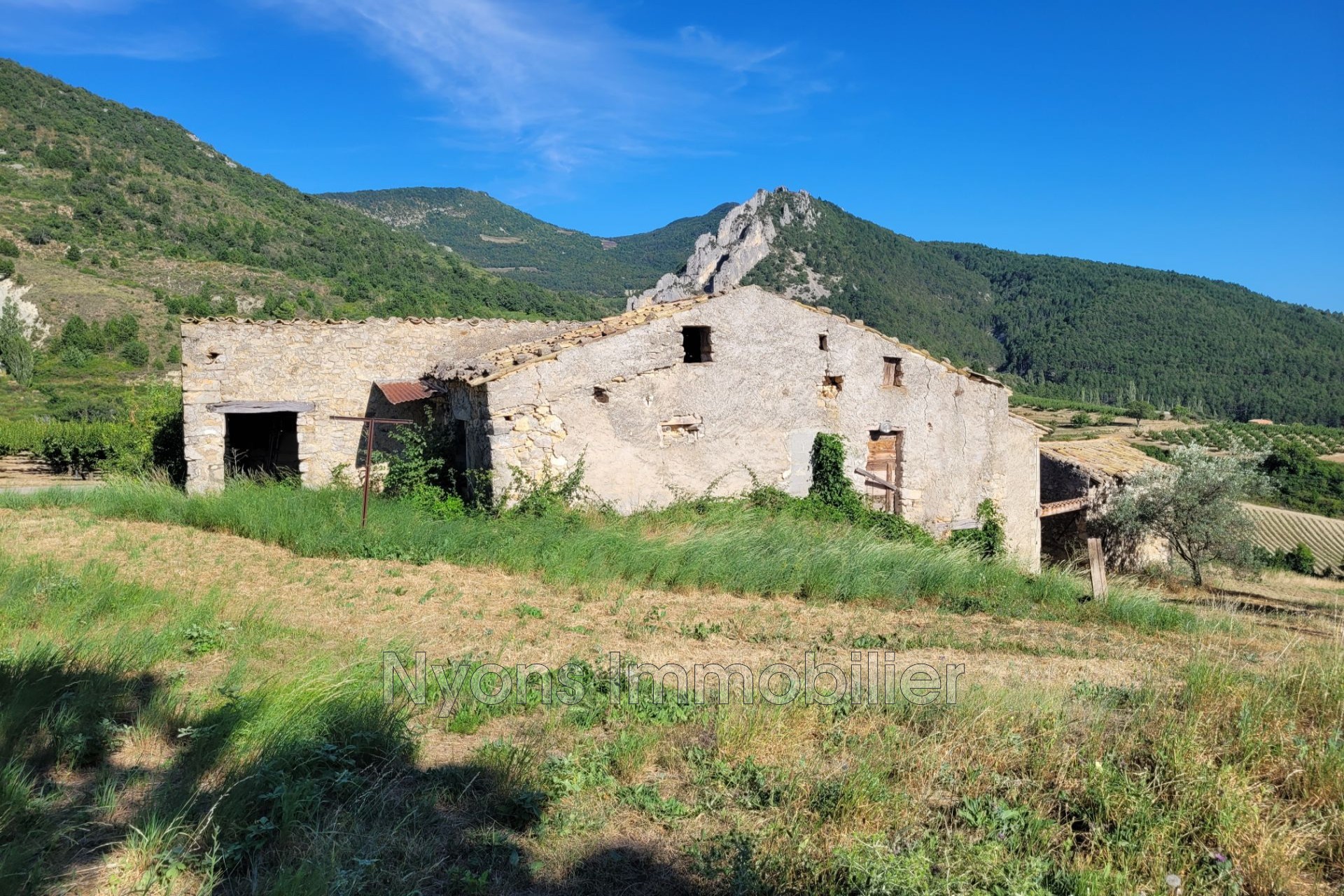 Vente Maison à Bellecombe-Tarendol 5 pièces