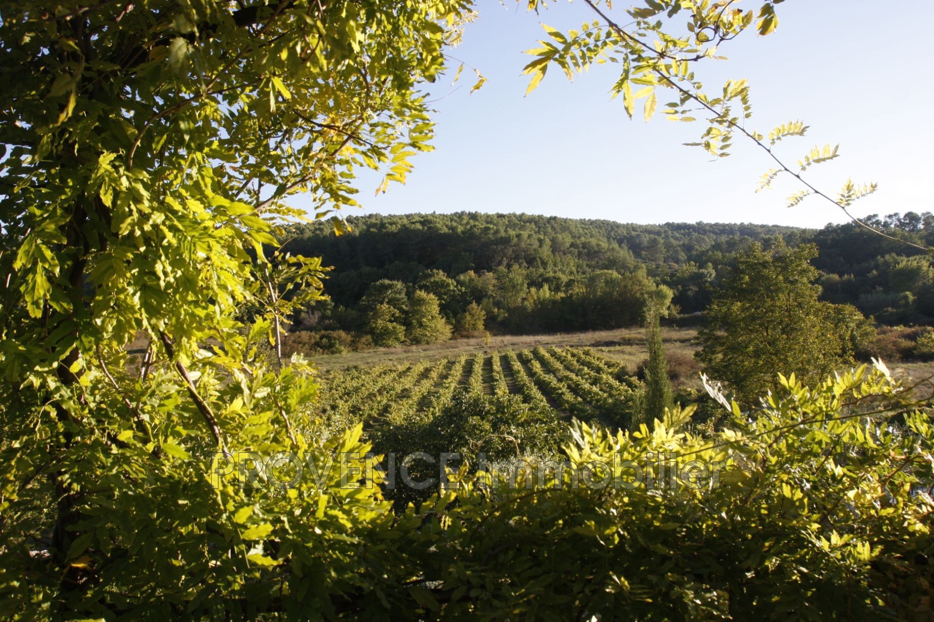 Vente Maison à Carcès 9 pièces