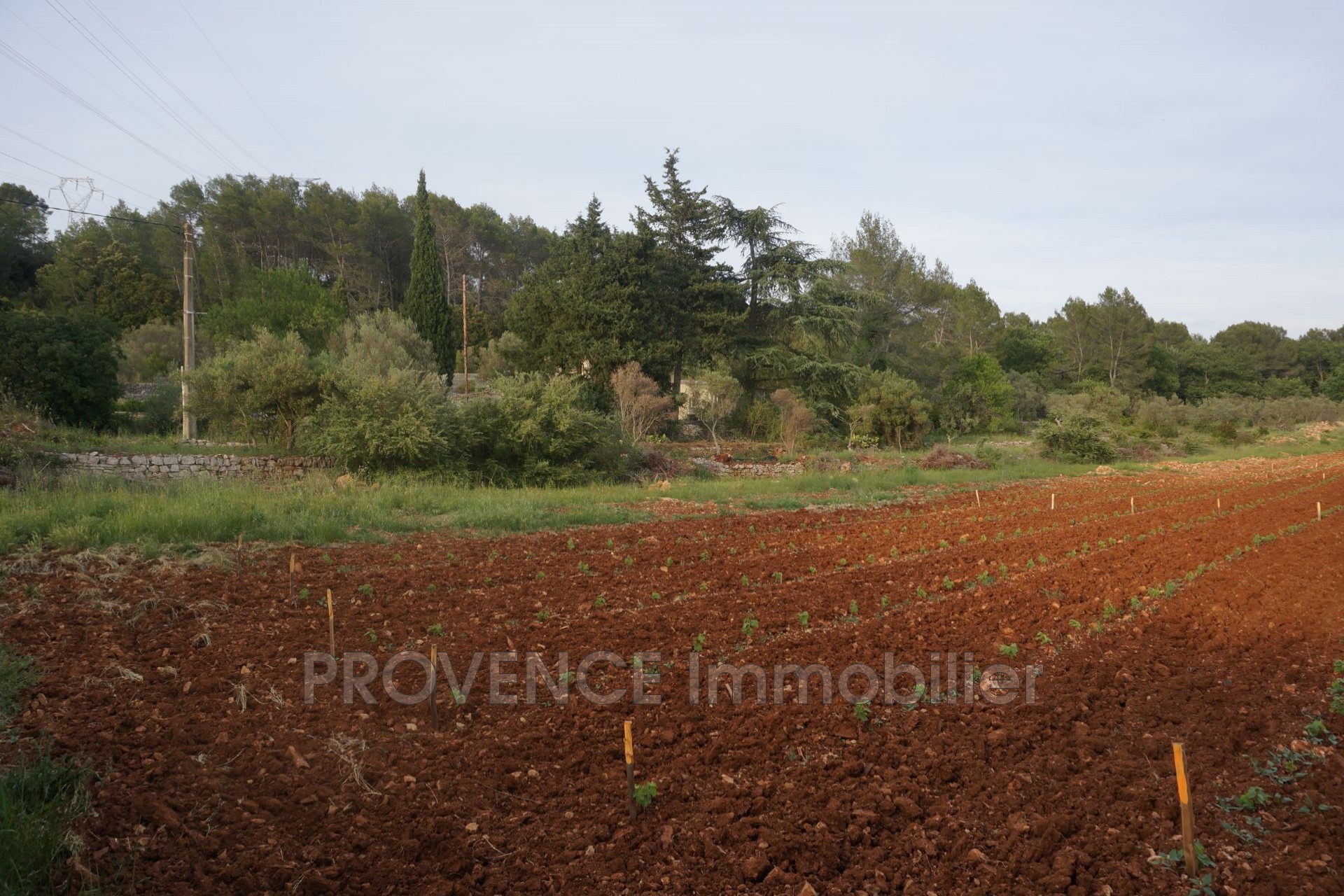 Vente Maison à Lorgues 6 pièces