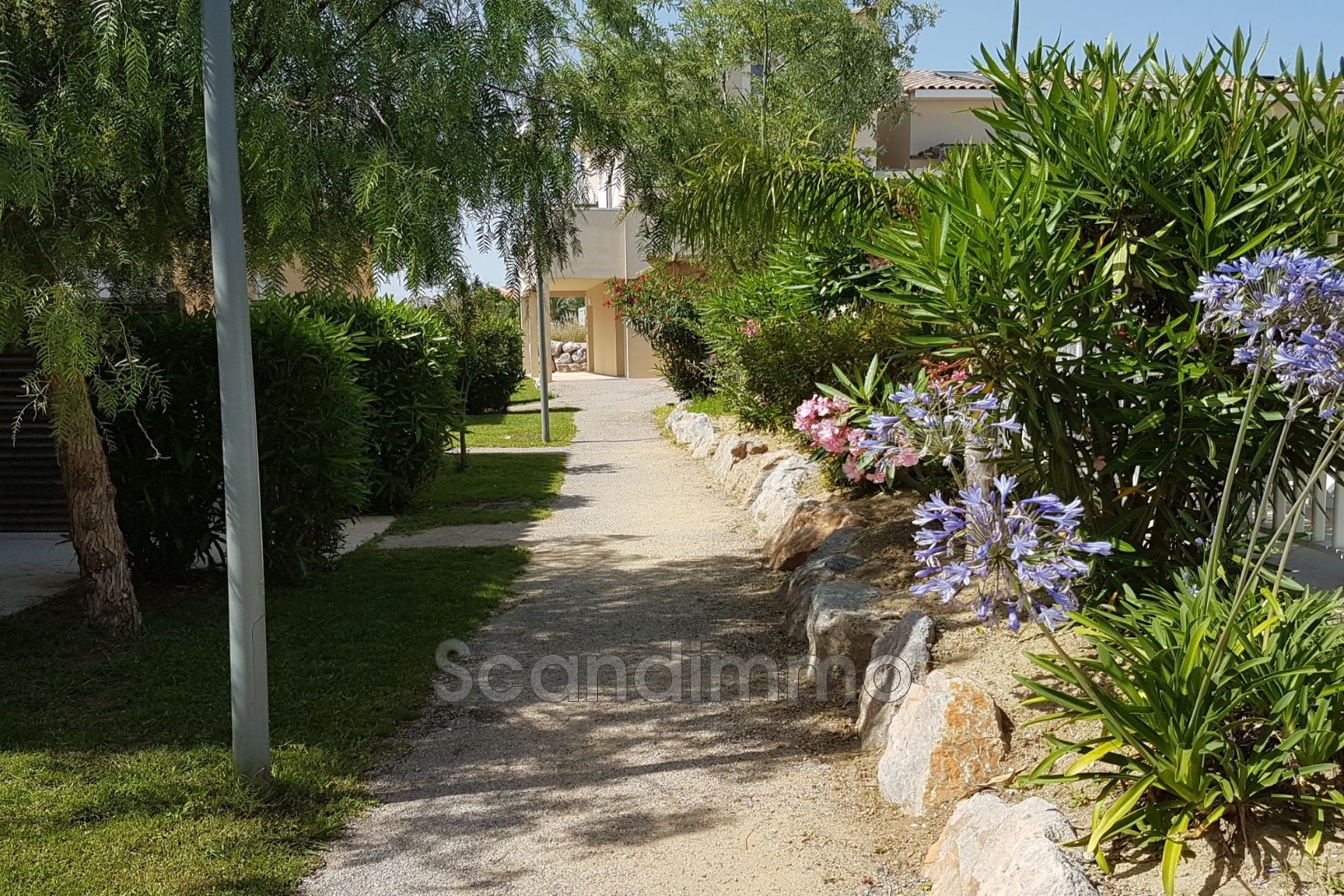 Vente Maison à Latour-Bas-Elne 3 pièces