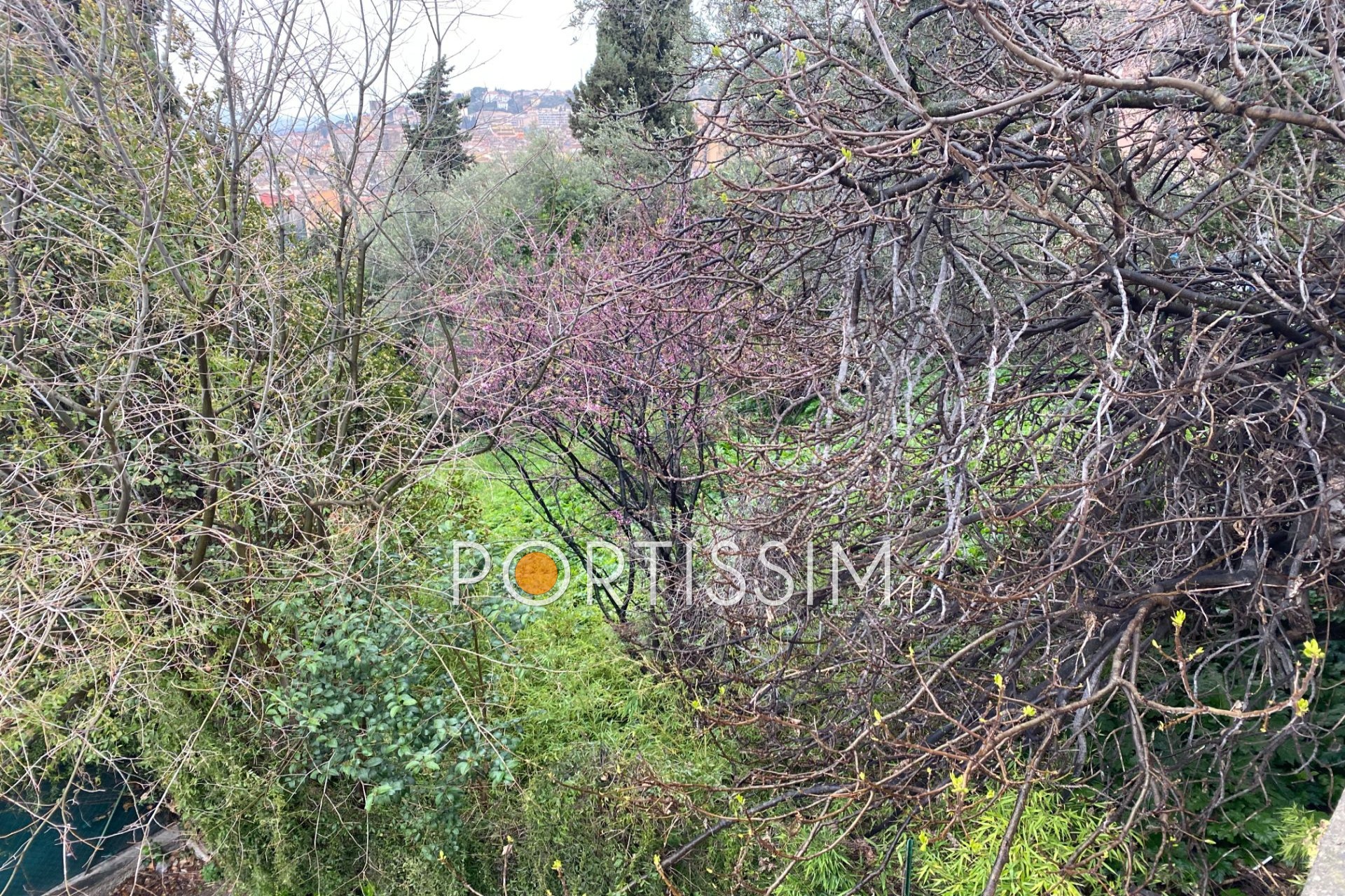 Vente Terrain à Grasse 0 pièce