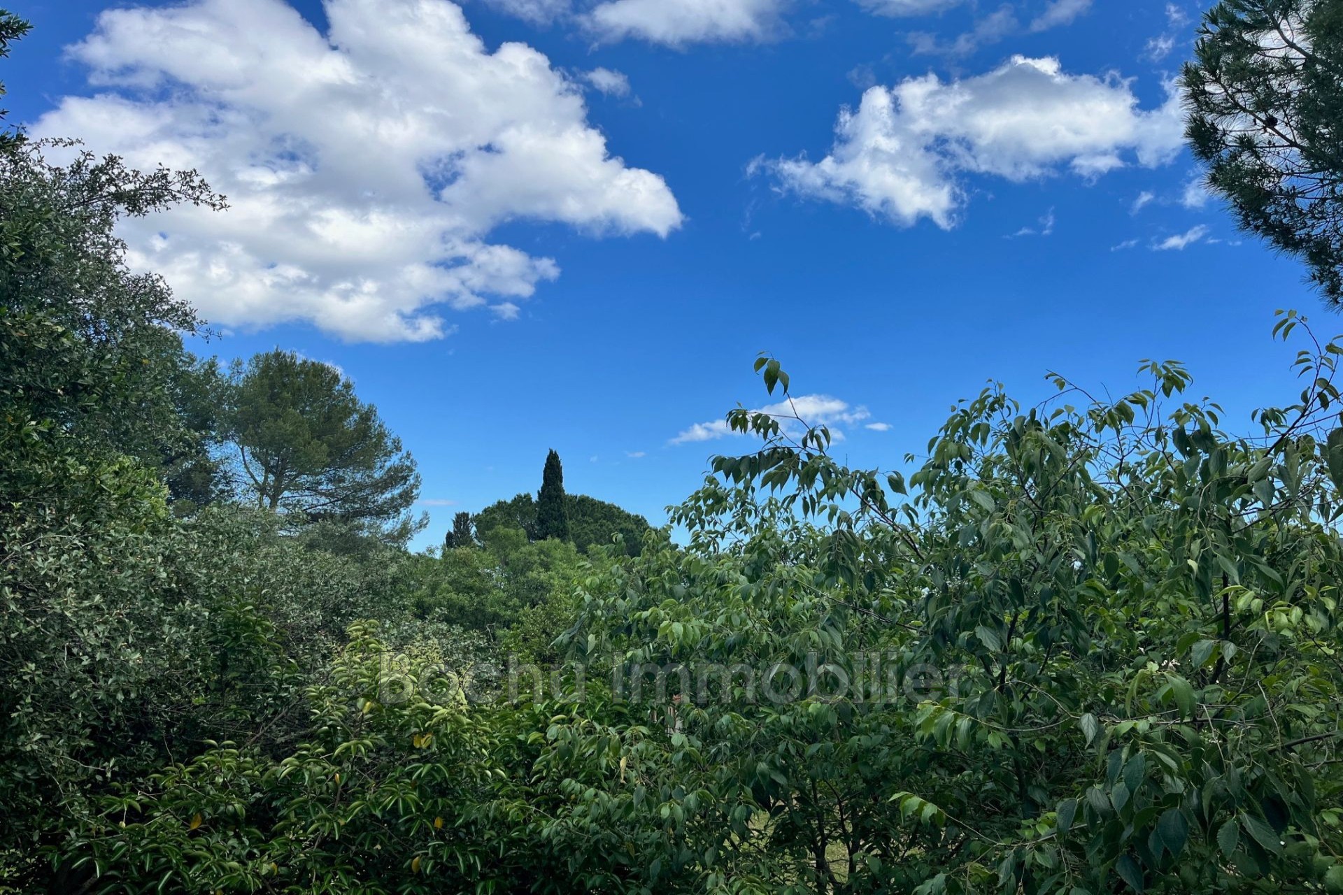 Vente Maison à Castelnau-le-Lez 0 pièce