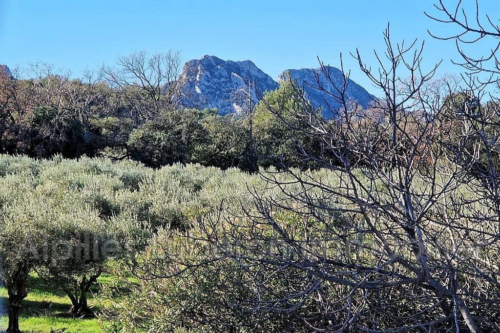 Location Maison à Eygalières 7 pièces