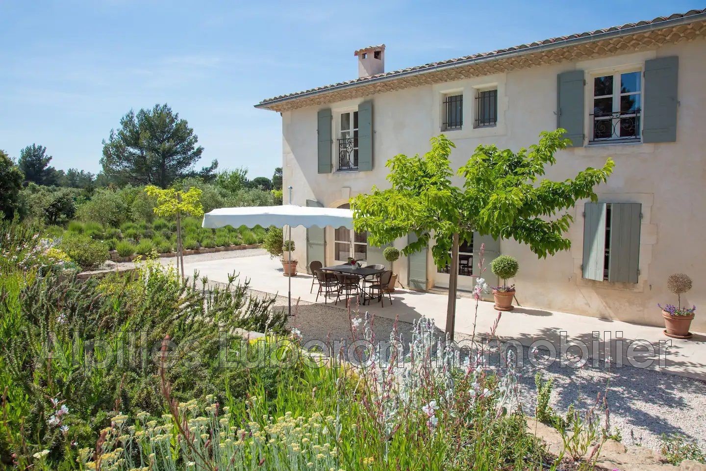 Location Maison à Eygalières 5 pièces