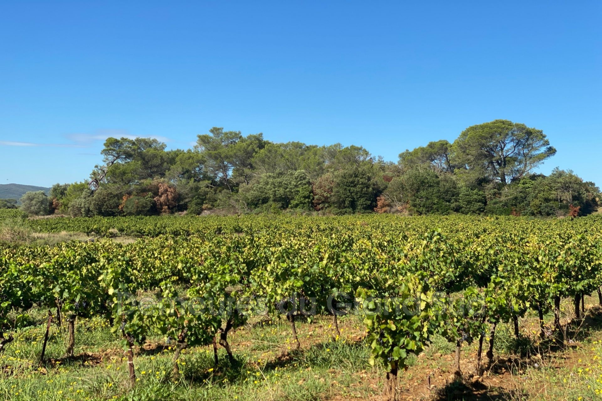 Vente Maison à Sabran 0 pièce