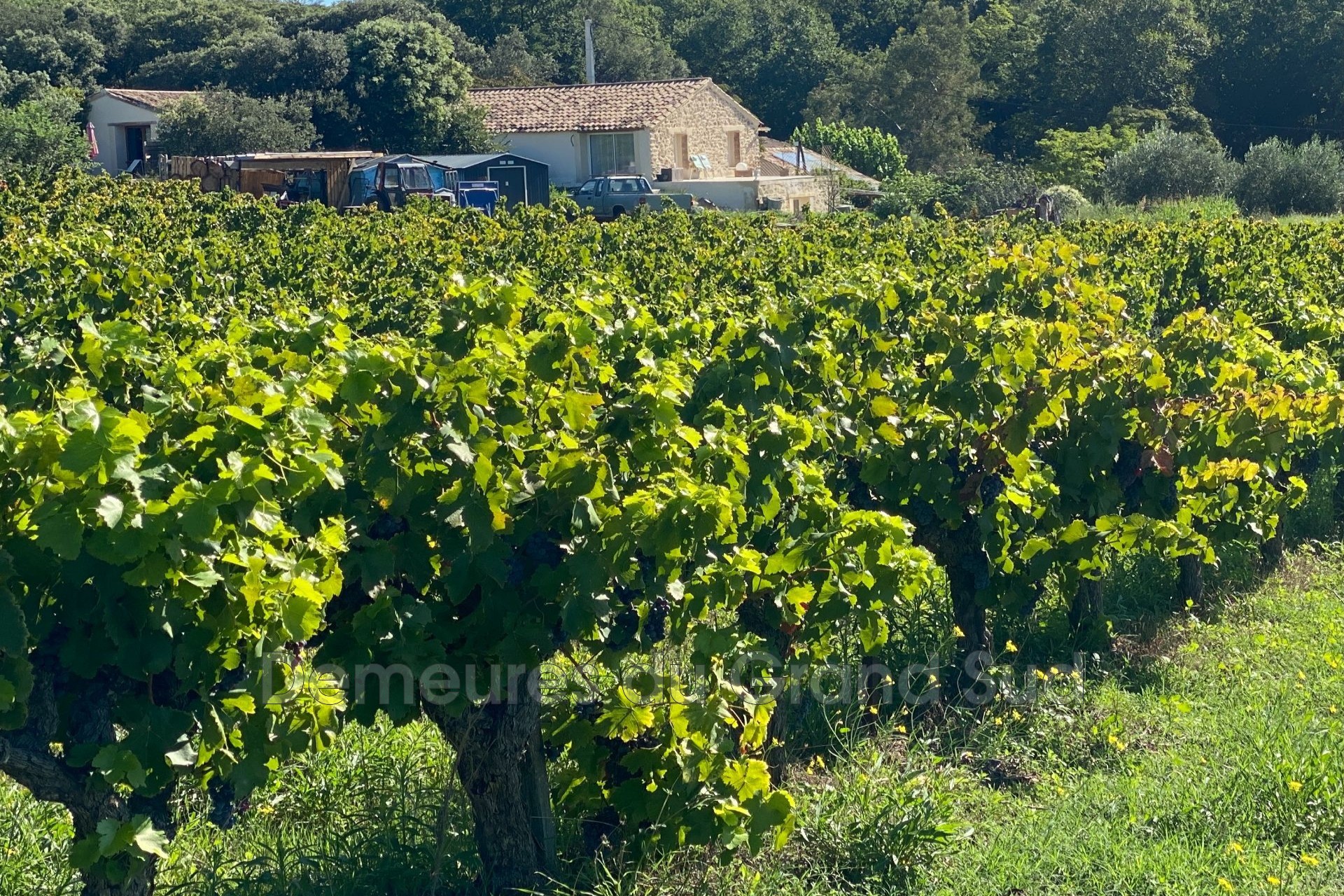 Vente Maison à Sabran 0 pièce