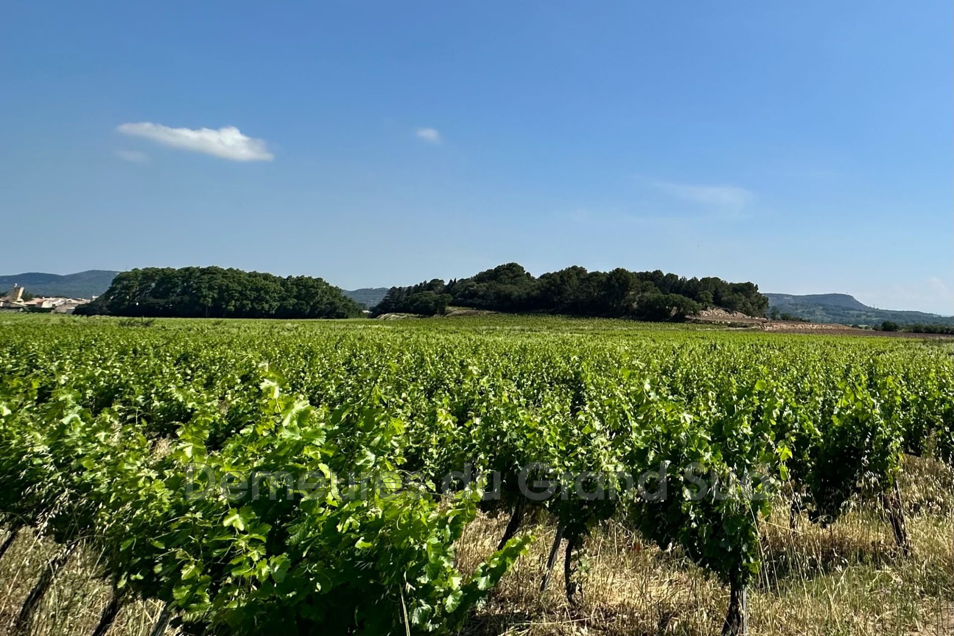 Vente Maison à Laudun-l'Ardoise 0 pièce