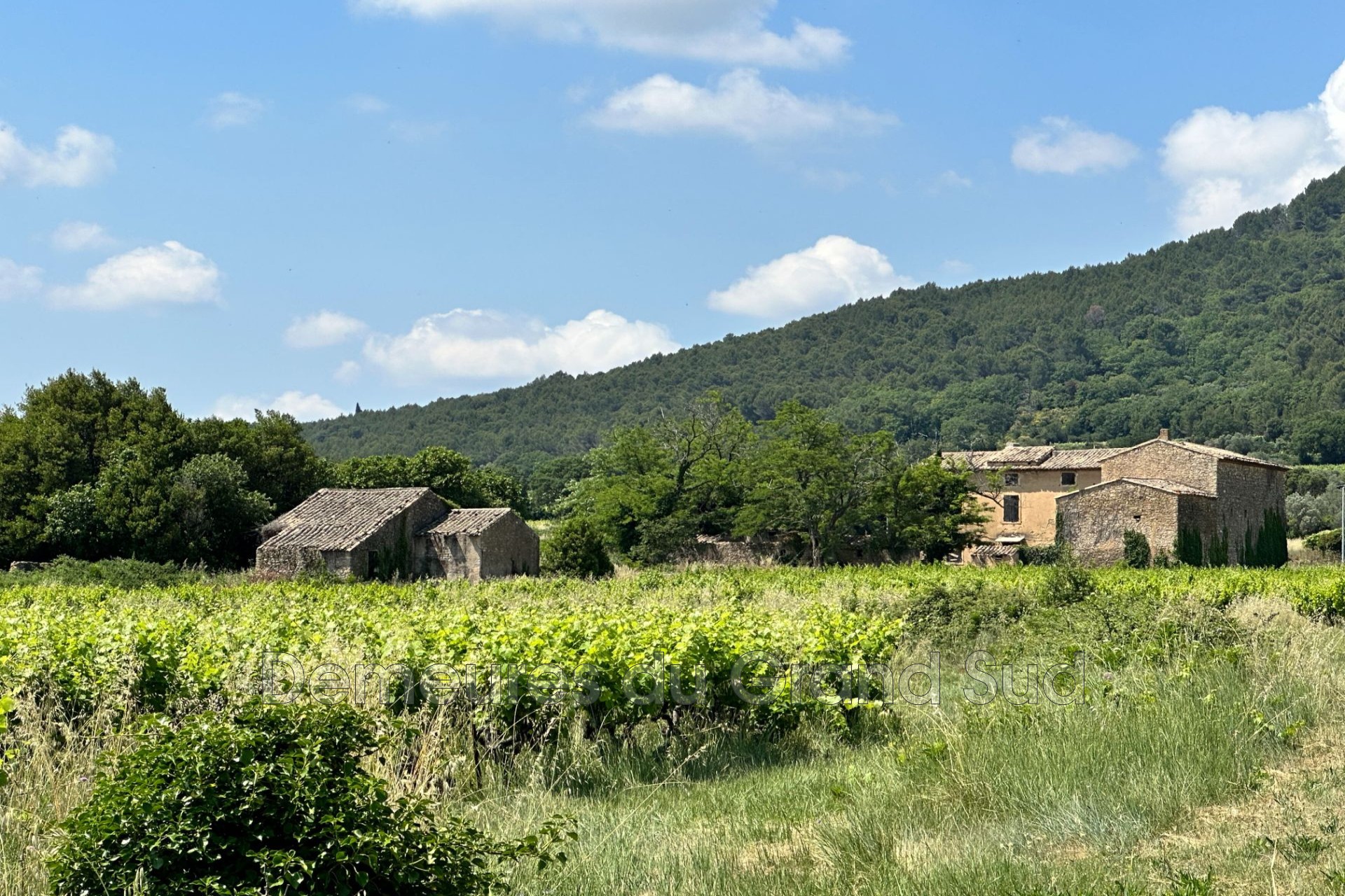 Vente Maison à Laudun-l'Ardoise 0 pièce