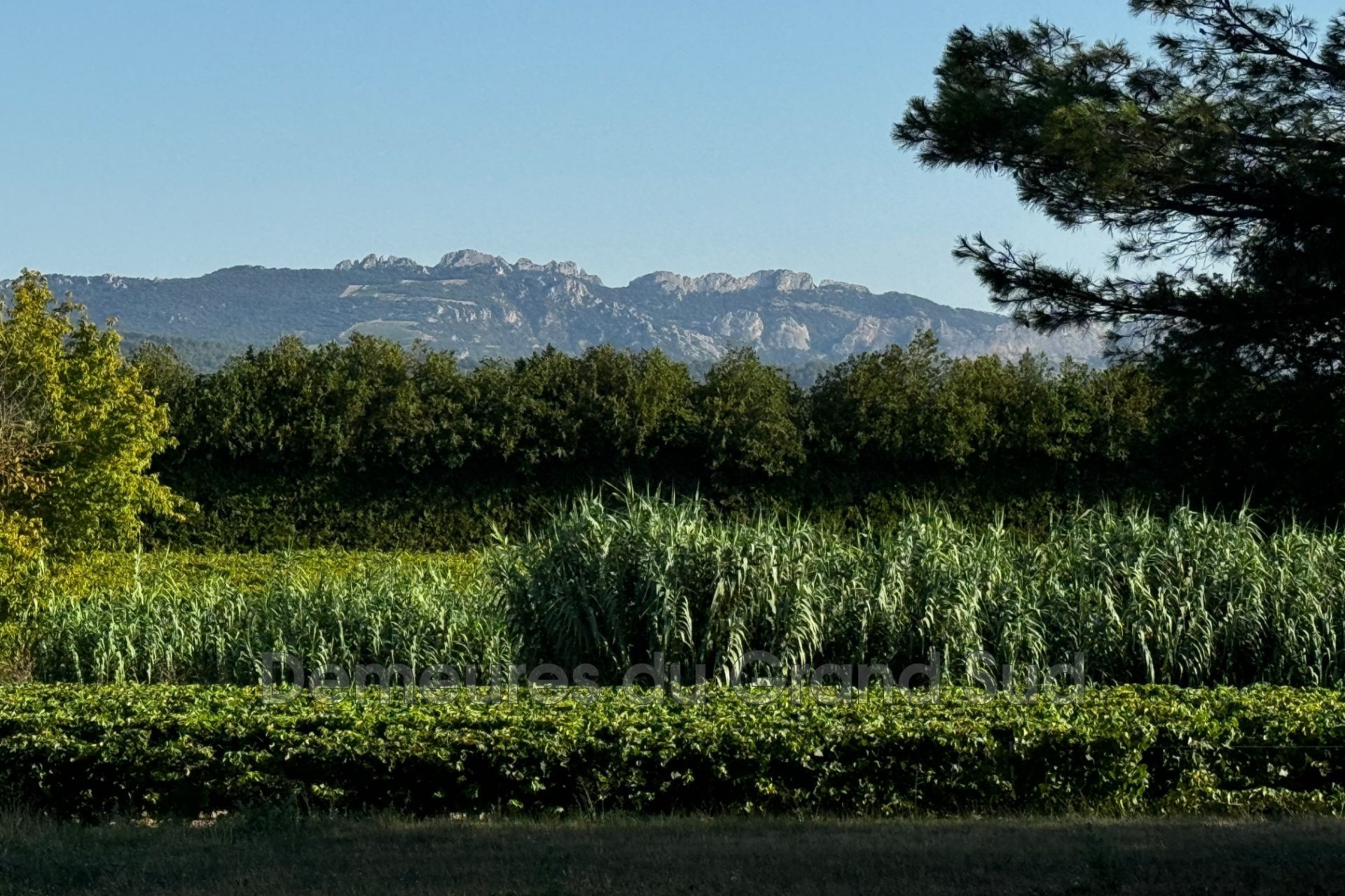 Vente Maison à Caromb 0 pièce