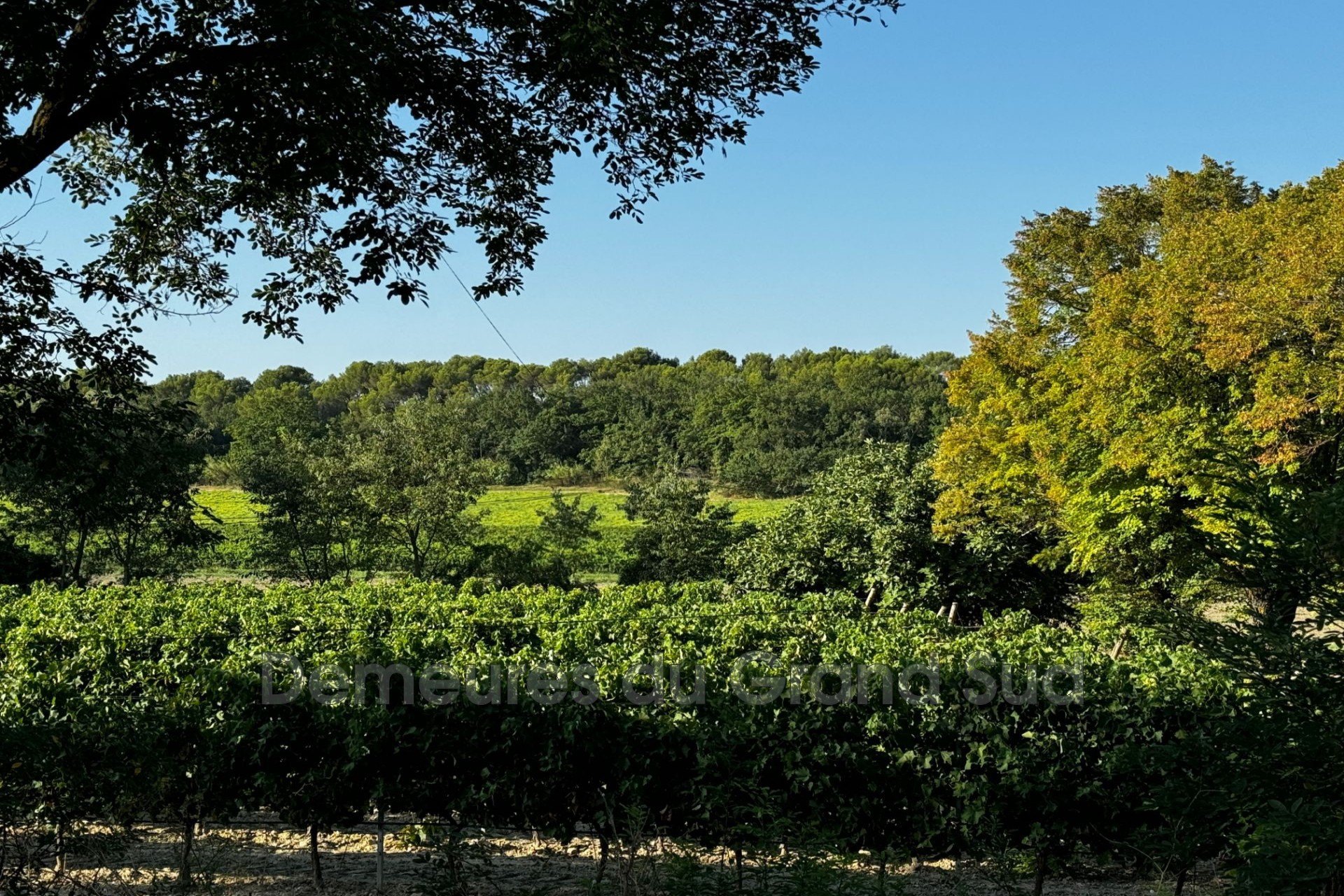 Vente Maison à Caromb 0 pièce