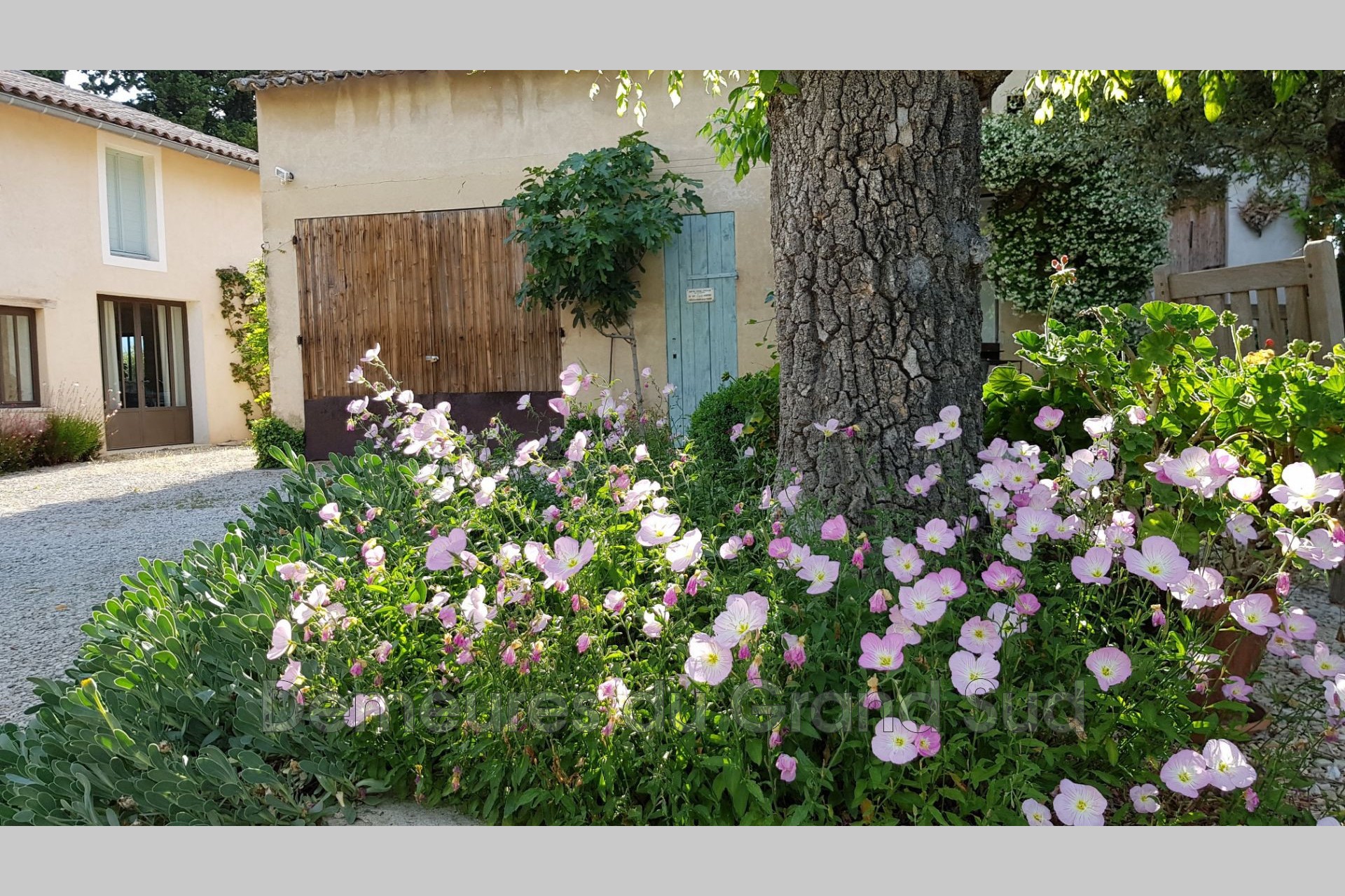 Vente Maison à Caromb 0 pièce