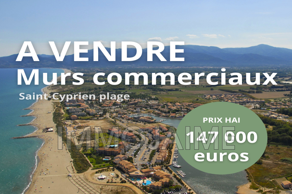 Vente Bureau / Commerce à Saint-Cyprien 0 pièce