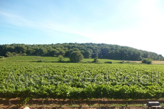 Vente Maison à Cazouls-lès-Béziers 12 pièces