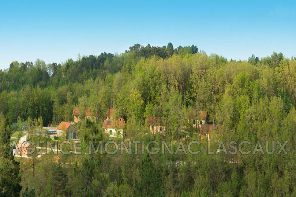 Vente Maison à la Chapelle-Aubareil 34 pièces