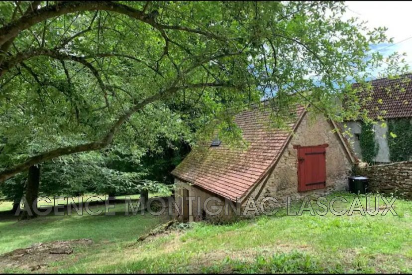 Vente Maison à Montignac 10 pièces