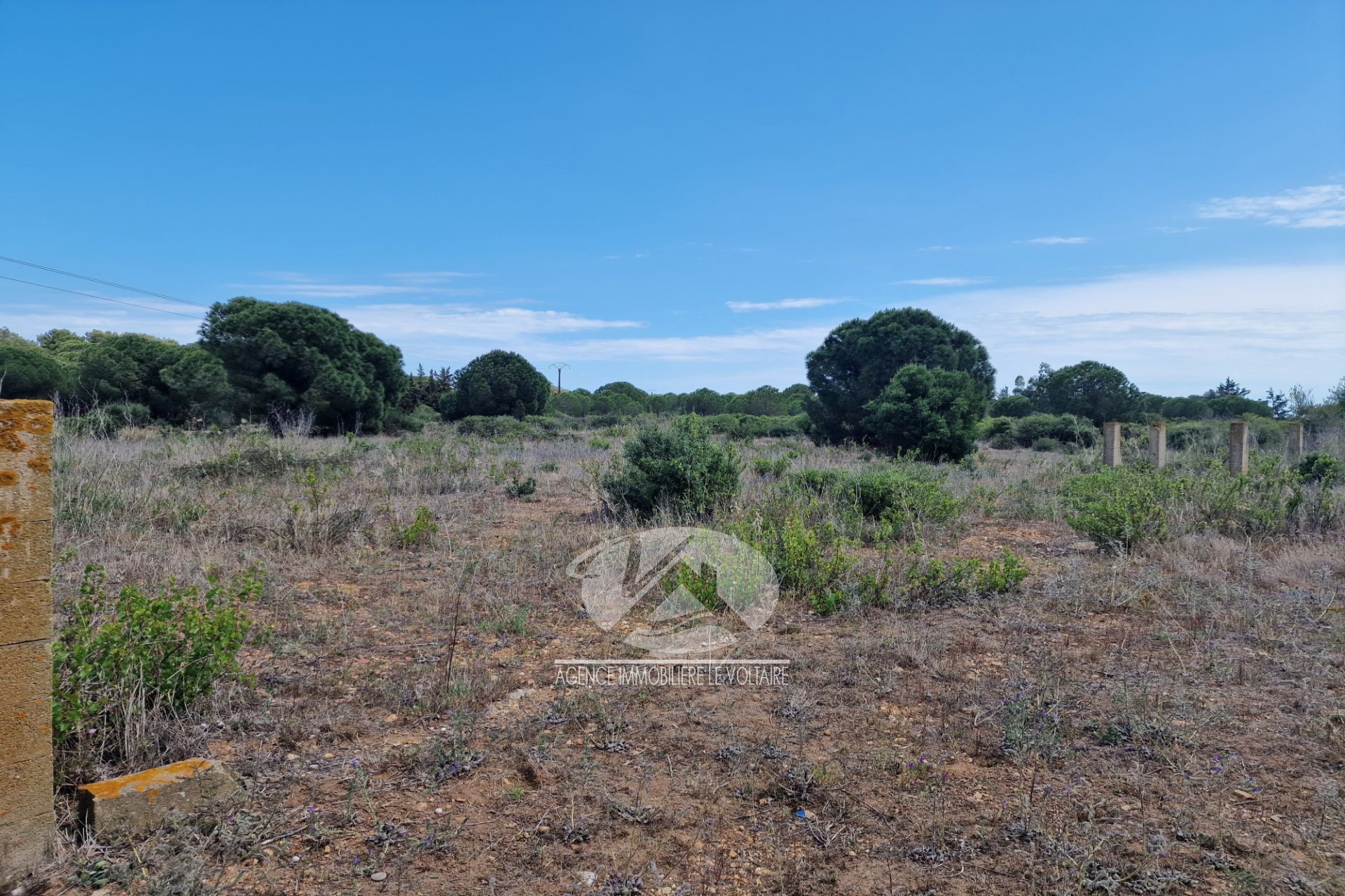 Vente Terrain à Sérignan 0 pièce