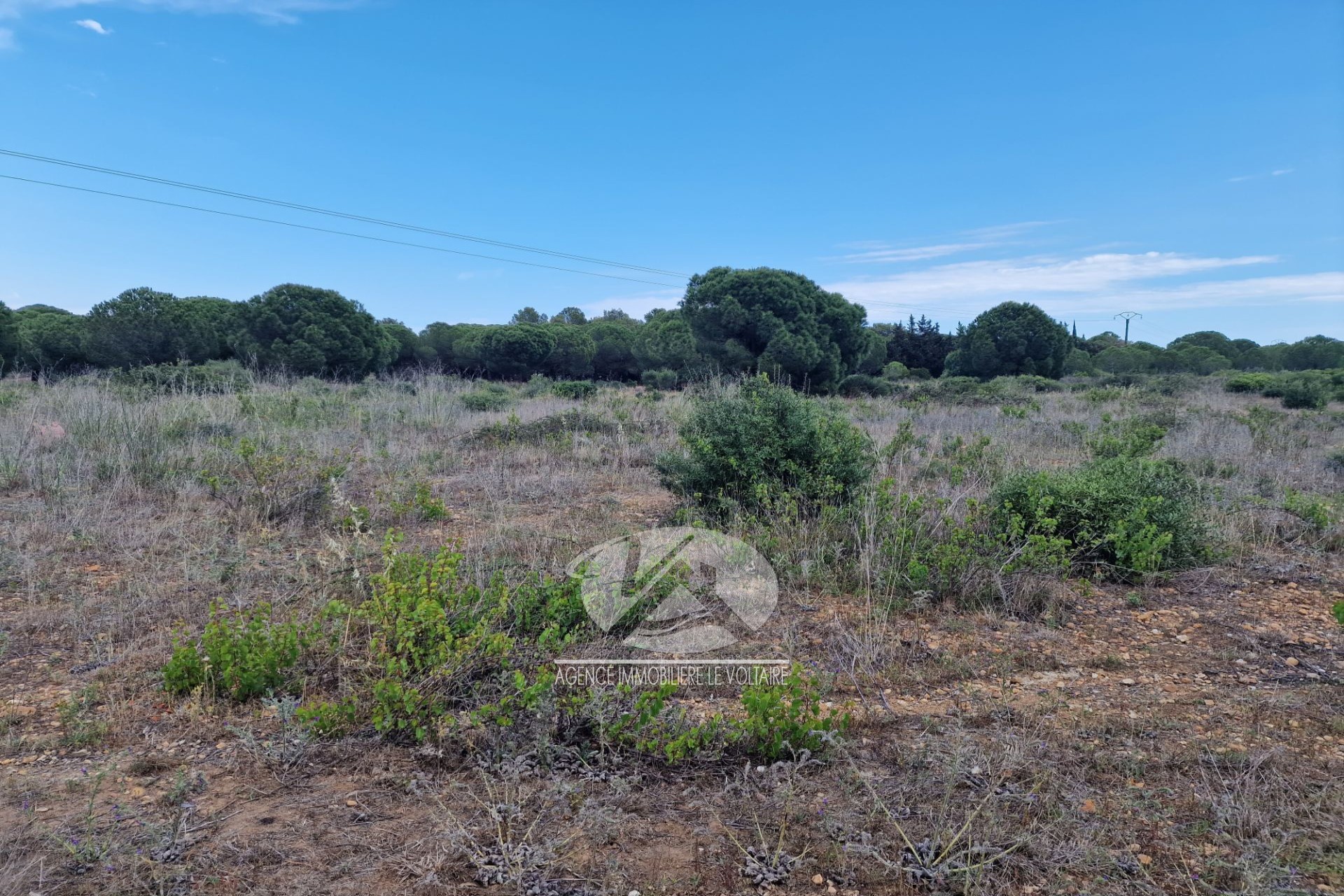 Vente Terrain à Sérignan 0 pièce