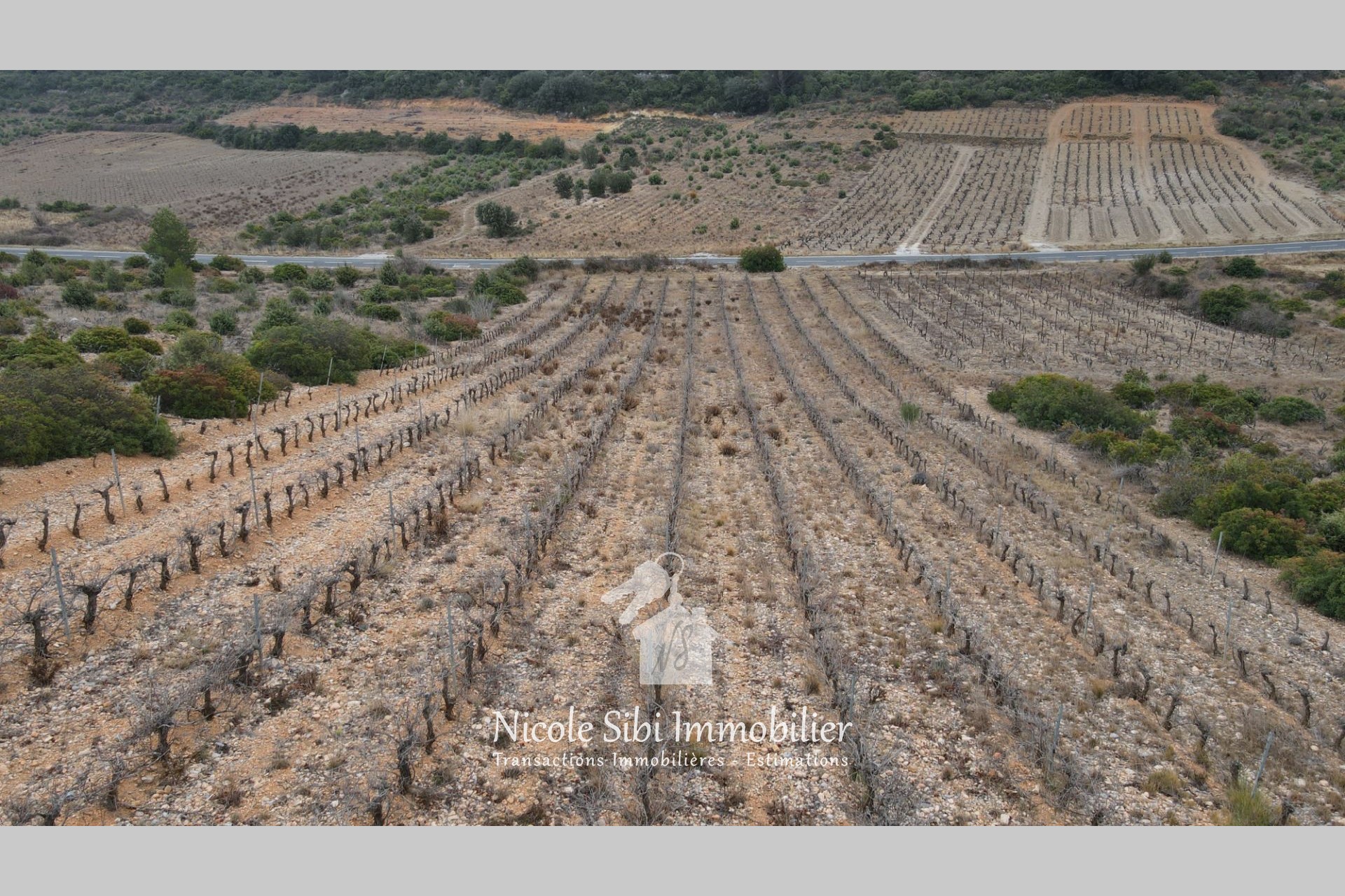 Vente Terrain à Tautavel 0 pièce