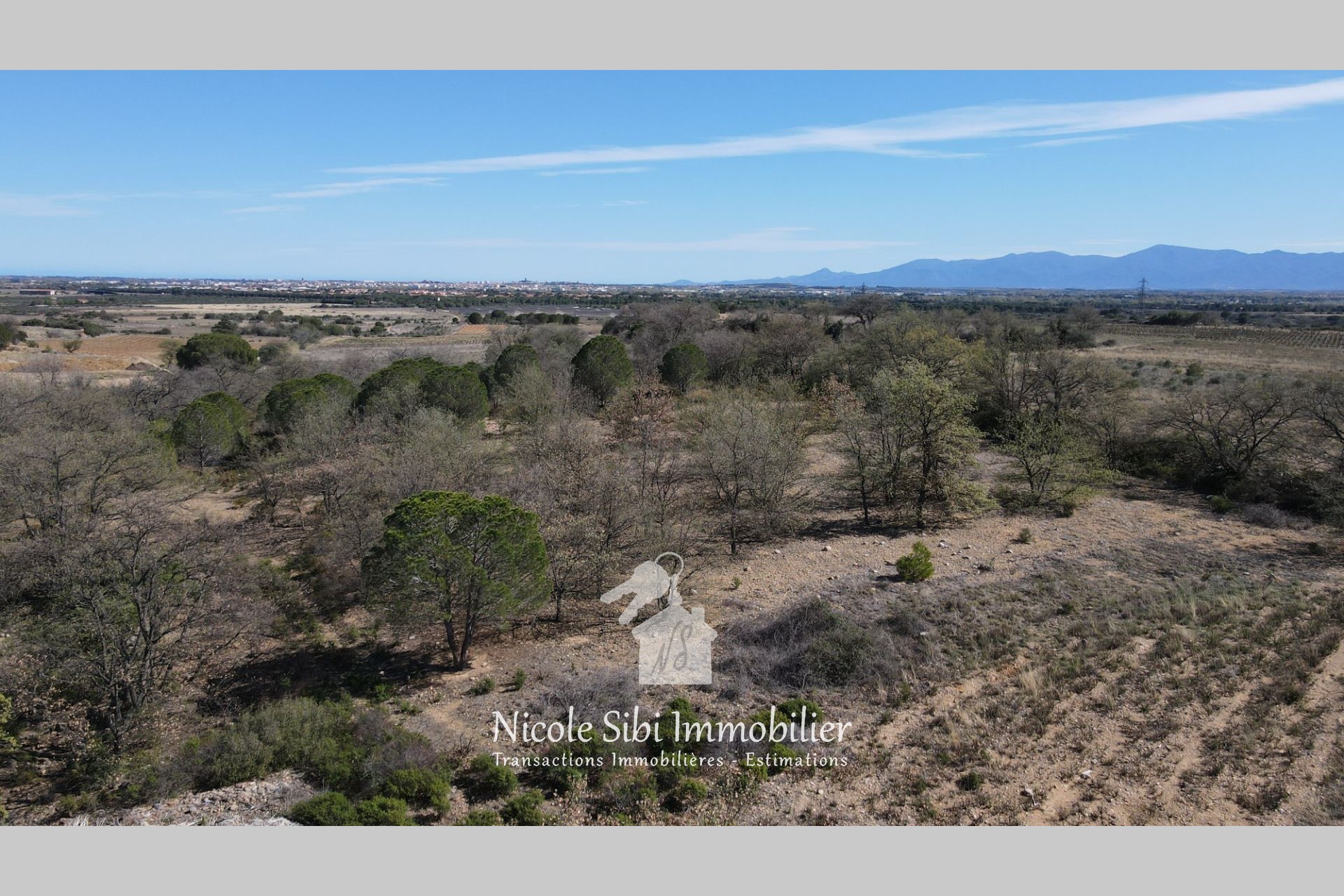 Vente Terrain à Baixas 0 pièce