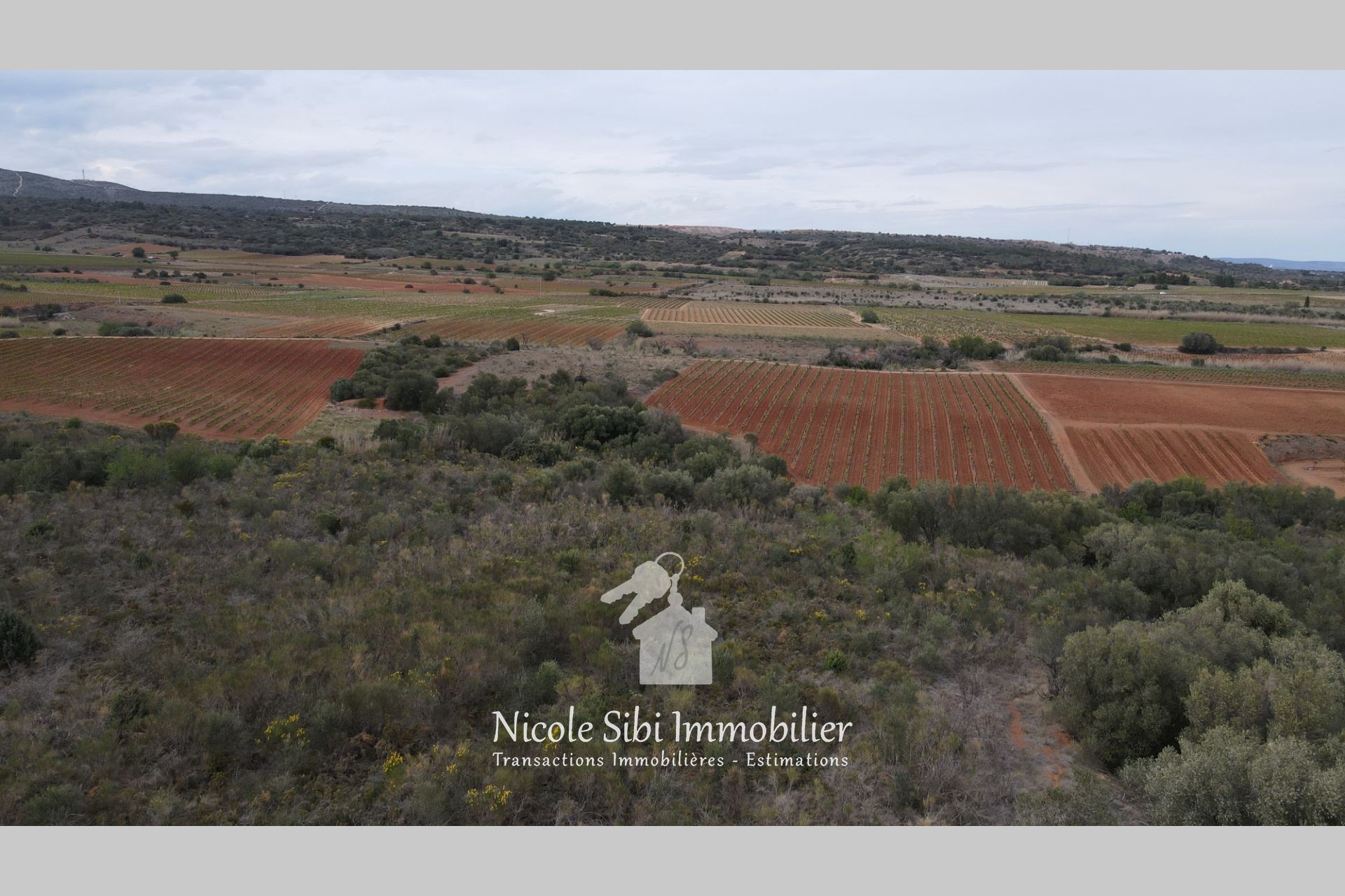 Vente Terrain à Baixas 0 pièce