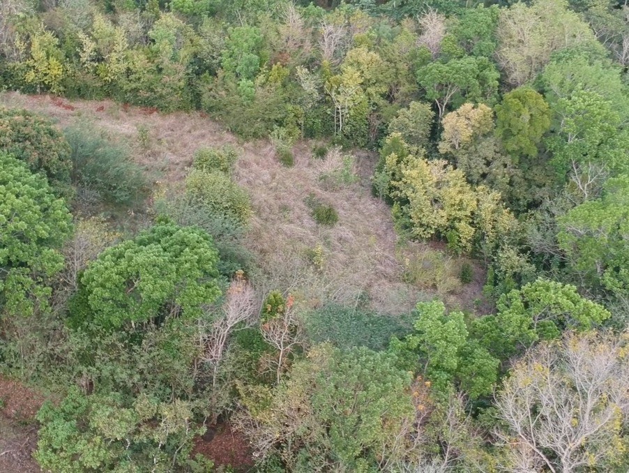 Vente Terrain à Rivière-Salée 0 pièce