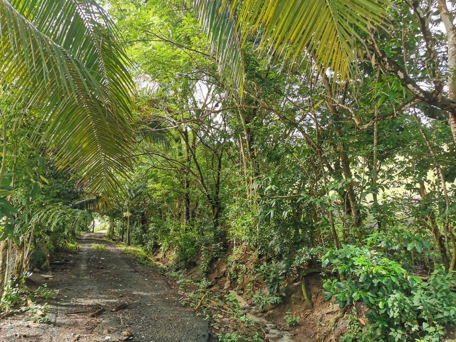 Vente Terrain à Rivière-Salée 0 pièce