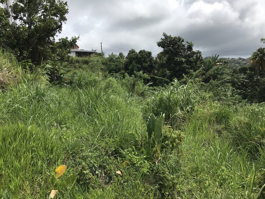 Vente Terrain à Sainte-Marie 0 pièce