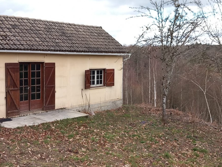 Vente Maison à Neuvic 0 pièce