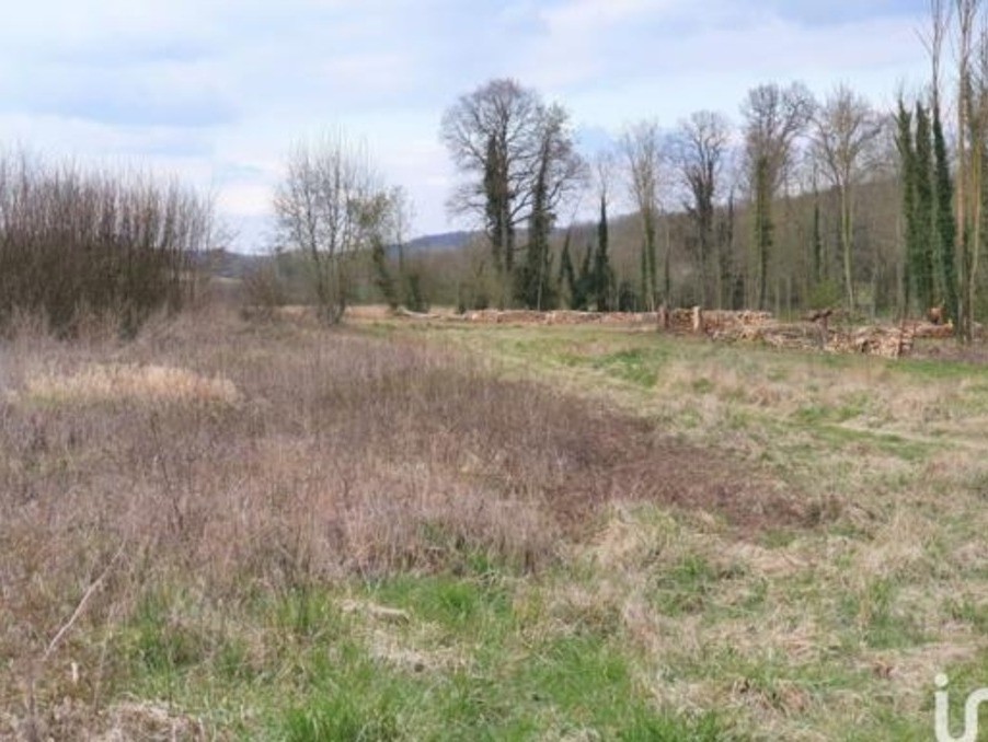 Vente Terrain à Domart-en-Ponthieu 0 pièce