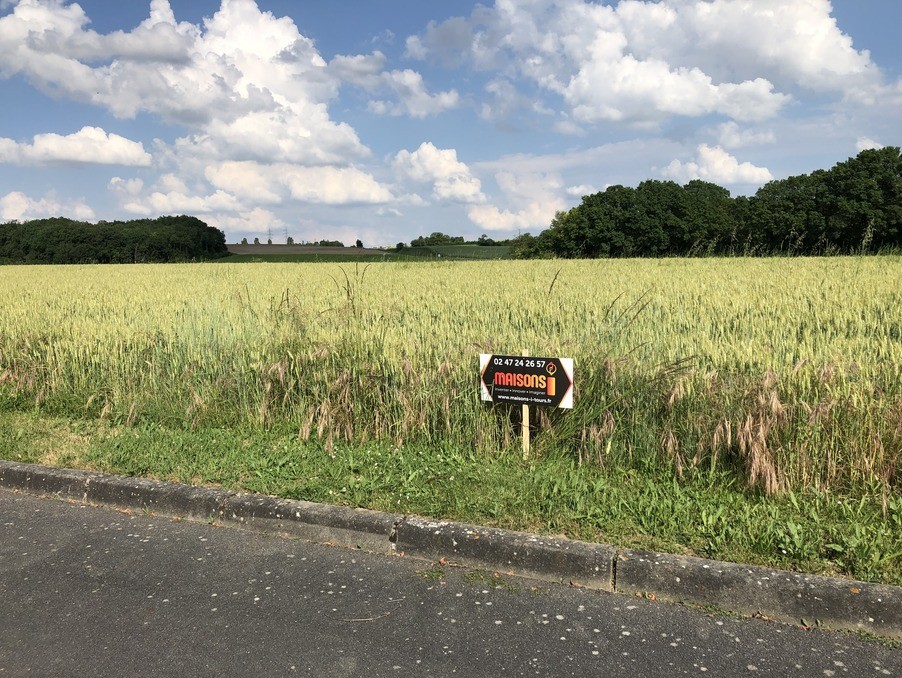 Vente Terrain à Sainte-Maure-de-Touraine 0 pièce