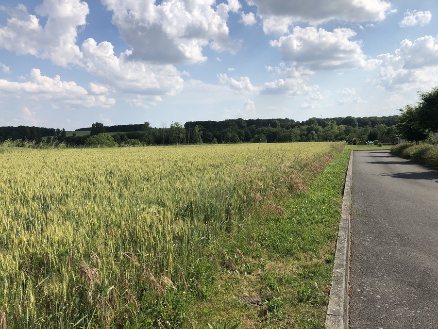 Vente Terrain à Sainte-Maure-de-Touraine 0 pièce