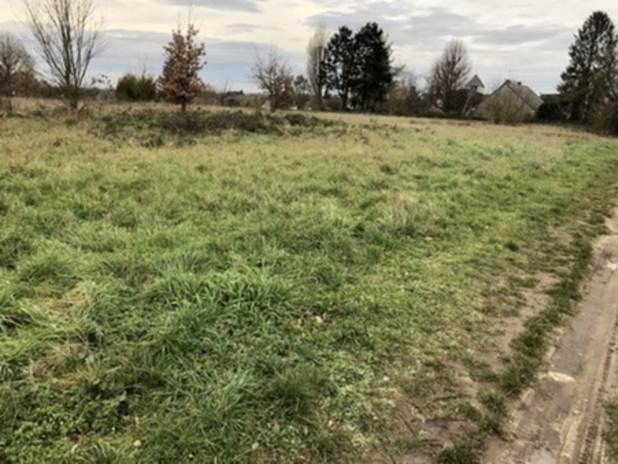 Vente Terrain à Cormery 0 pièce