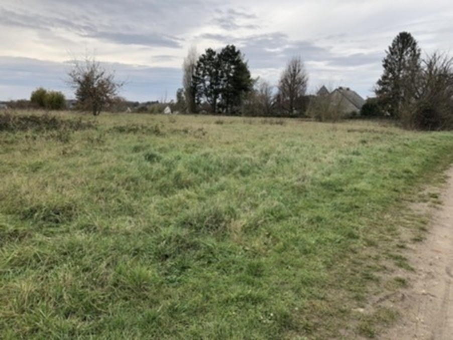 Vente Terrain à Cormery 0 pièce